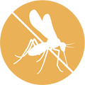 Mosquito Net